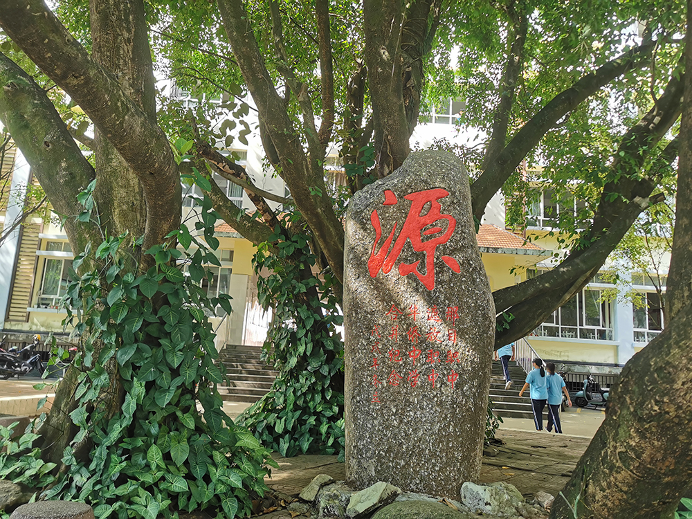 激动人心!芒市职业教育中心与恰好轻体平台校企战略合作培训班正式开课!(图5) 激动人心!芒市职业教育中心与恰好轻体平台校企战略合作培训班正式开课!(图5)